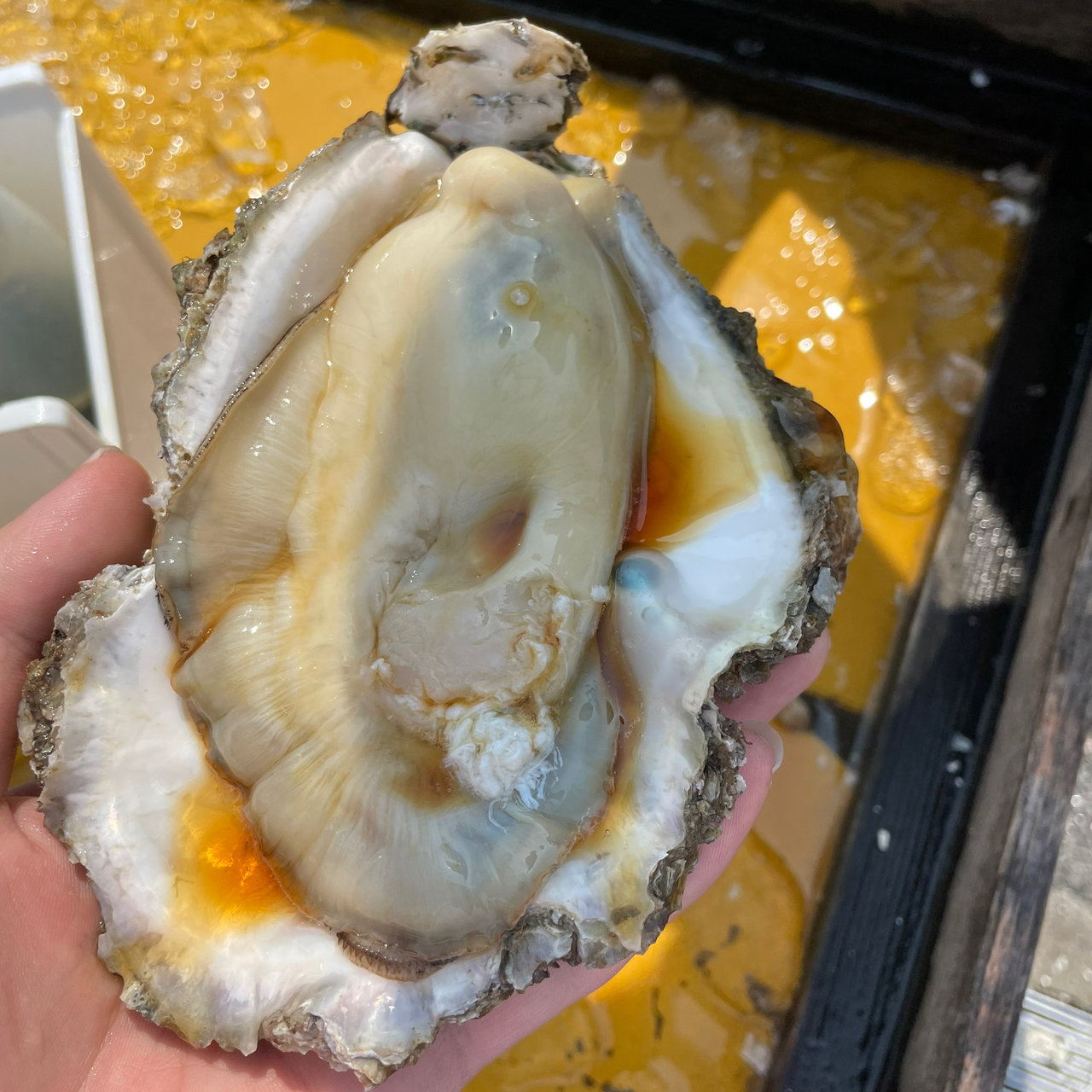 生がき(ヤマサ水産 総本店 )の口コミ一覧 | おいしい！が増えるグルメ