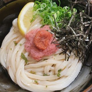 梅ぶっかけうどん(湯田製麺)