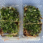 野人焼き(うどん)