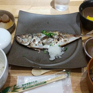 お魚の定食 あじの塩焼き(Washoku バル かめすけ)