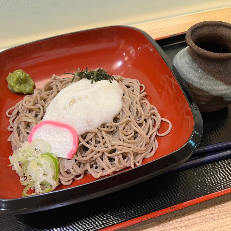 冷とろろそば(駅そば　しらかみ庵)
