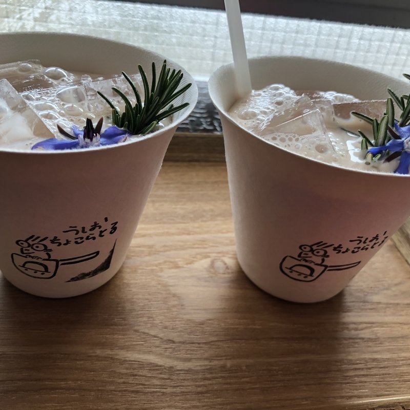 (ウシオチョコラトル )