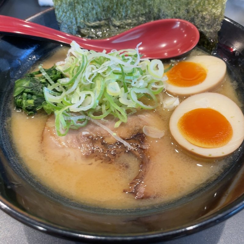 とんこつ醤油中太麺(ラーメン 喜助家)