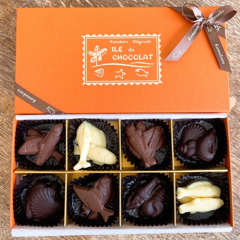 おさかな貝チョコレート(イル・ド・ショコラ ラスカ茅ヶ崎店)
