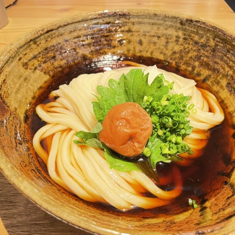 梅おろしぶっかけ　大盛(扇町うどん屋あすろう)