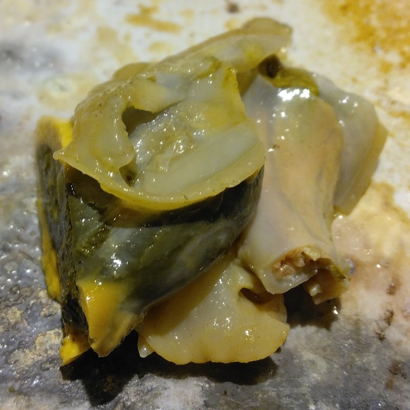 あわびの肝(鮨 栞庵 やましろ)