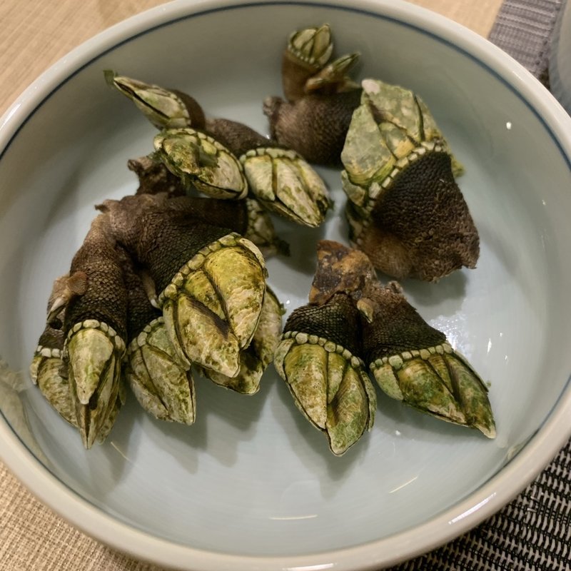 亀の手(つづみ )