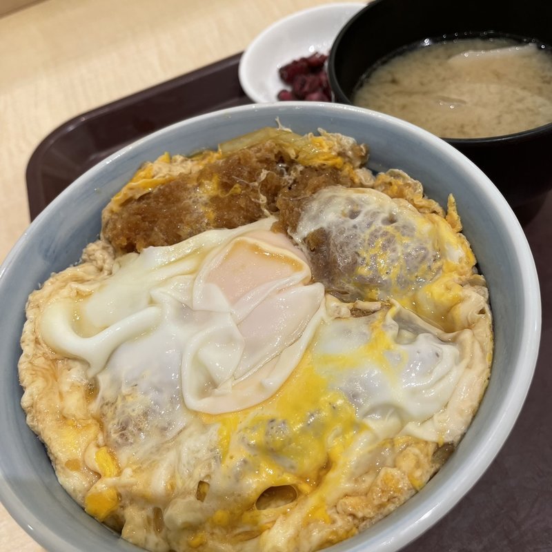 スペシャルヒレカツ丼(銀座梅林 羽田空港フードコート)