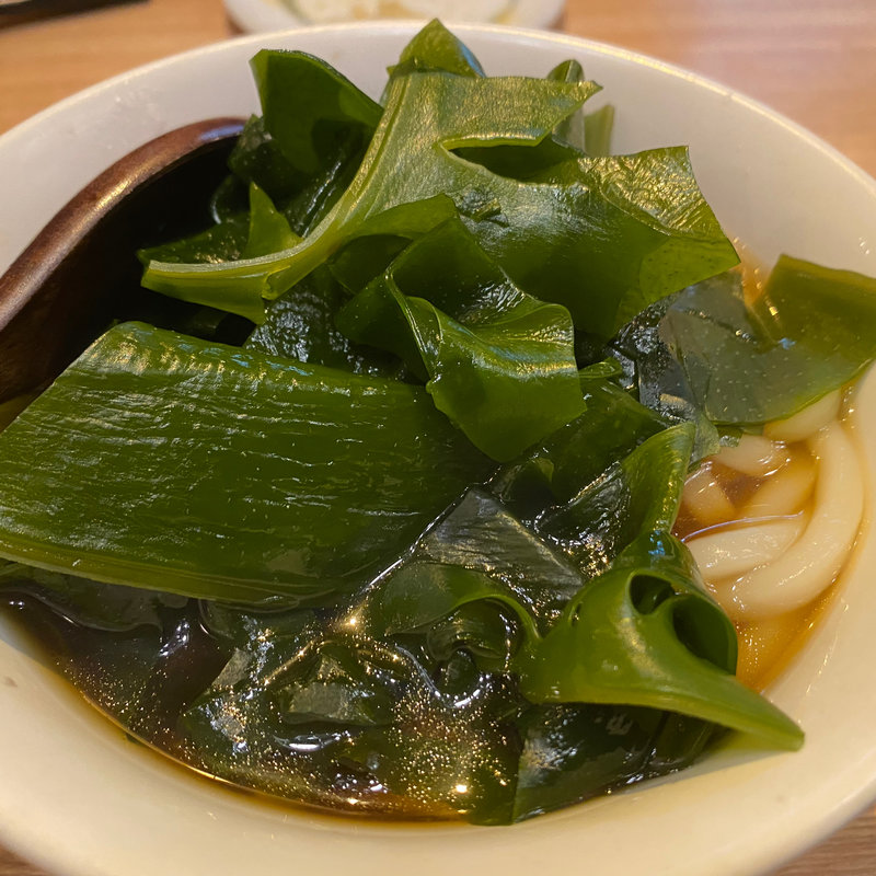 ワカメうどん(ろばた結)