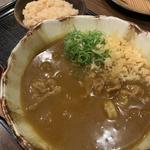特製カレーうどん定食(肉)(うどんばか　十三東口店)