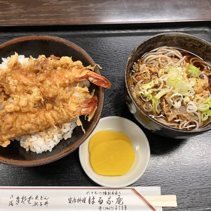 天丼＋たぬきそば(はるな庵)