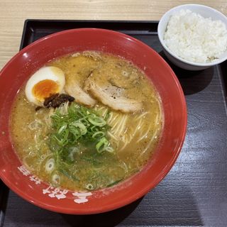 えび豚骨拉麺(味噌)(えび豚骨拉麺 春樹 南砂町scスナモ店)