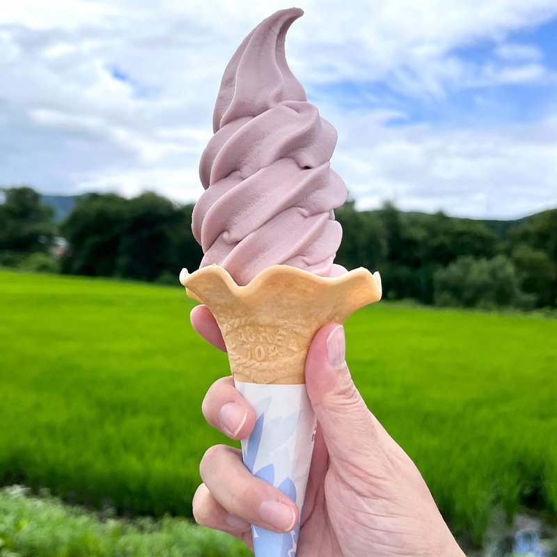 山ぶどうソフトクリーム(道の駅おりつめ )