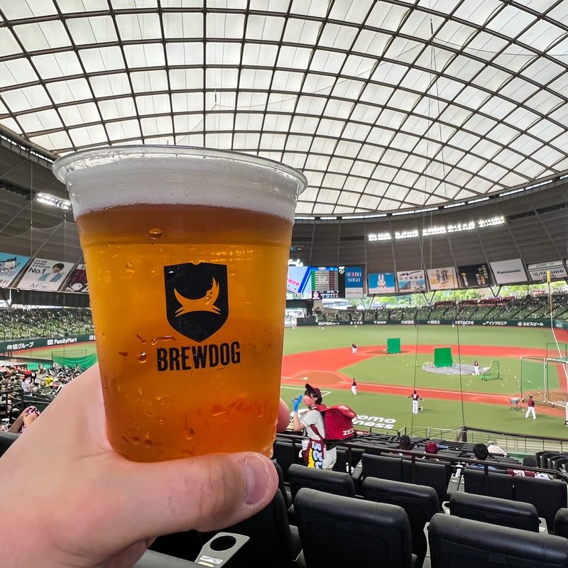 BREW DOG PUNK IPA(HUB ベルーナドーム店)