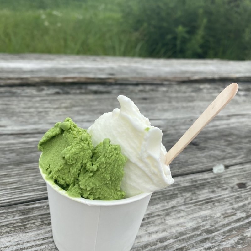 抹茶&ミルク(ジェラートダブル)(アルトピアーノ )