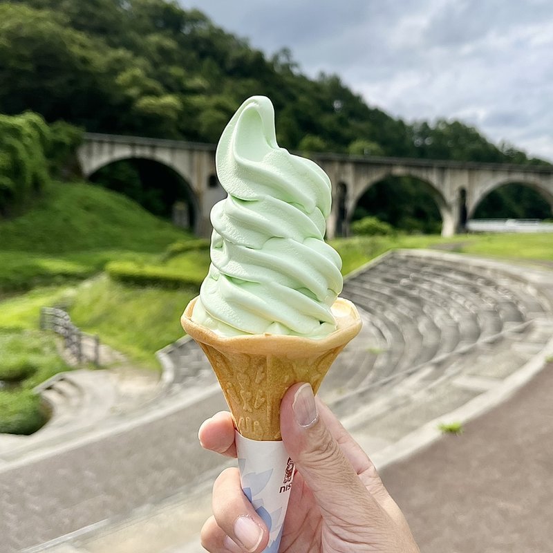 わさびソフト(レストラン 銀河亭 道の駅 みやもり店 )