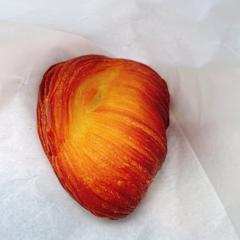 サリュー(テーラ テール )