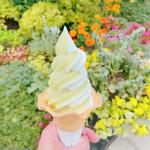 季節のソフトクリーム(ICHIE　Flower&Sweets （イチエフラワーアンドスィーツ）)