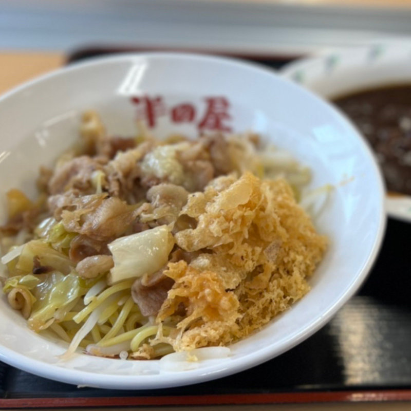 濃厚豚にんにく混ぜそば(半田屋 サッポロファクトリー前店)