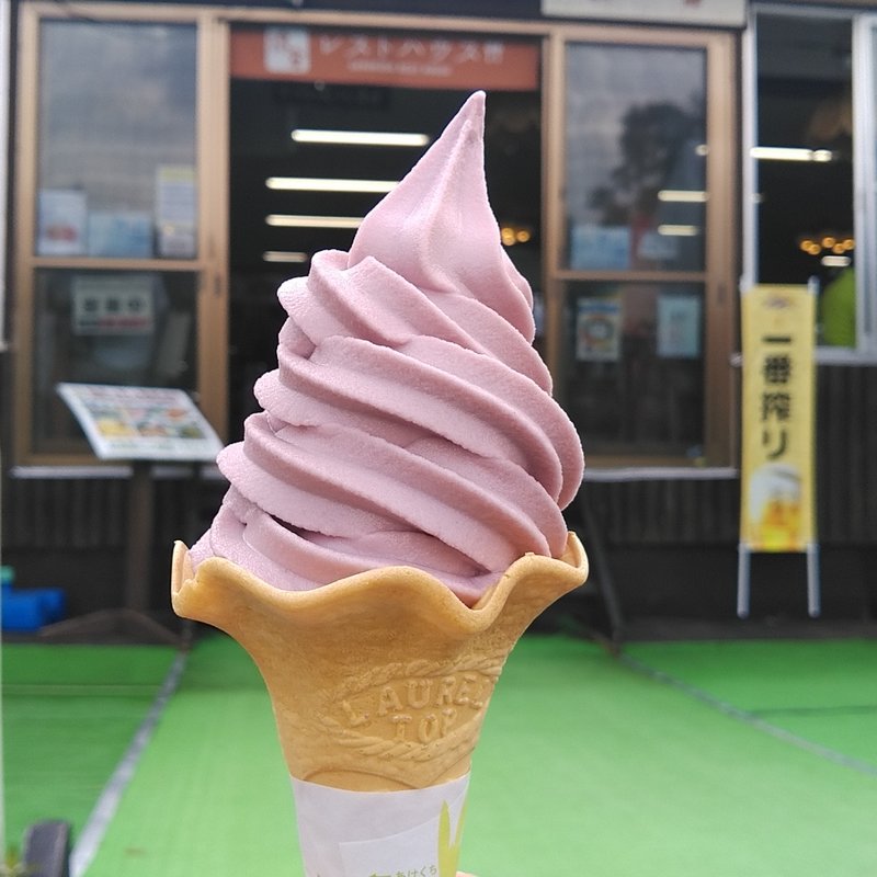 ソフトクリーム　山ぶどう(蔵王猿倉レストハウス )