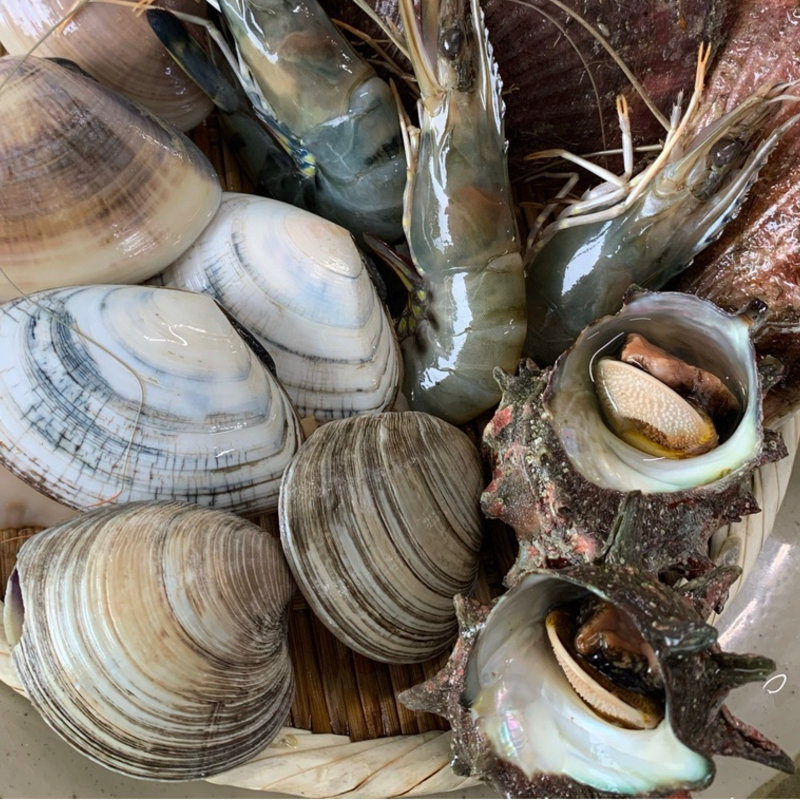活貝焼きセットC(漁師料理 かなや )