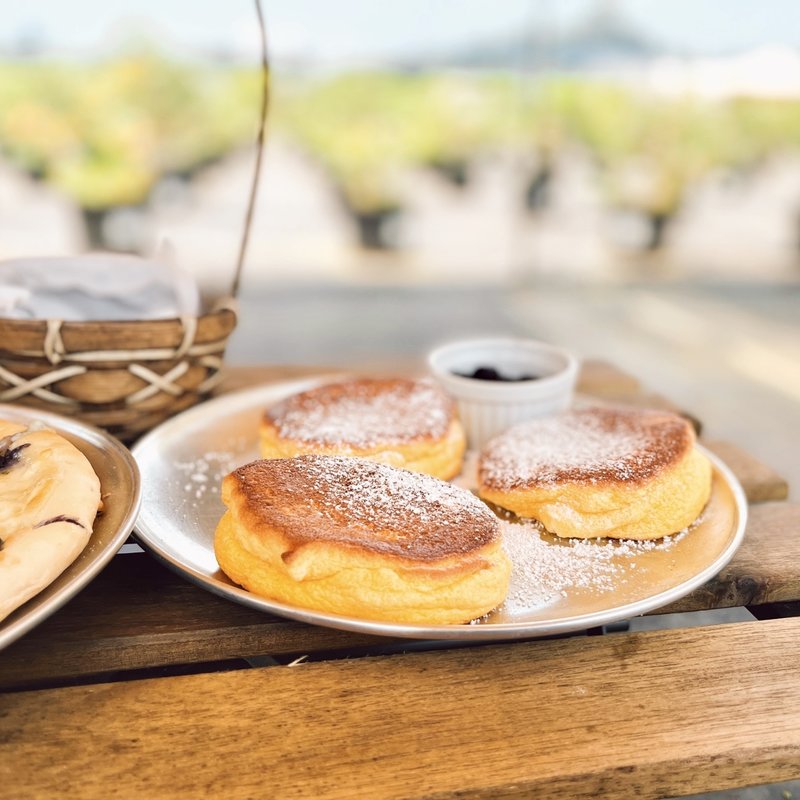 ブルーベリーパンケーキ(東金ジャンボブルーベリーエクスファーム)