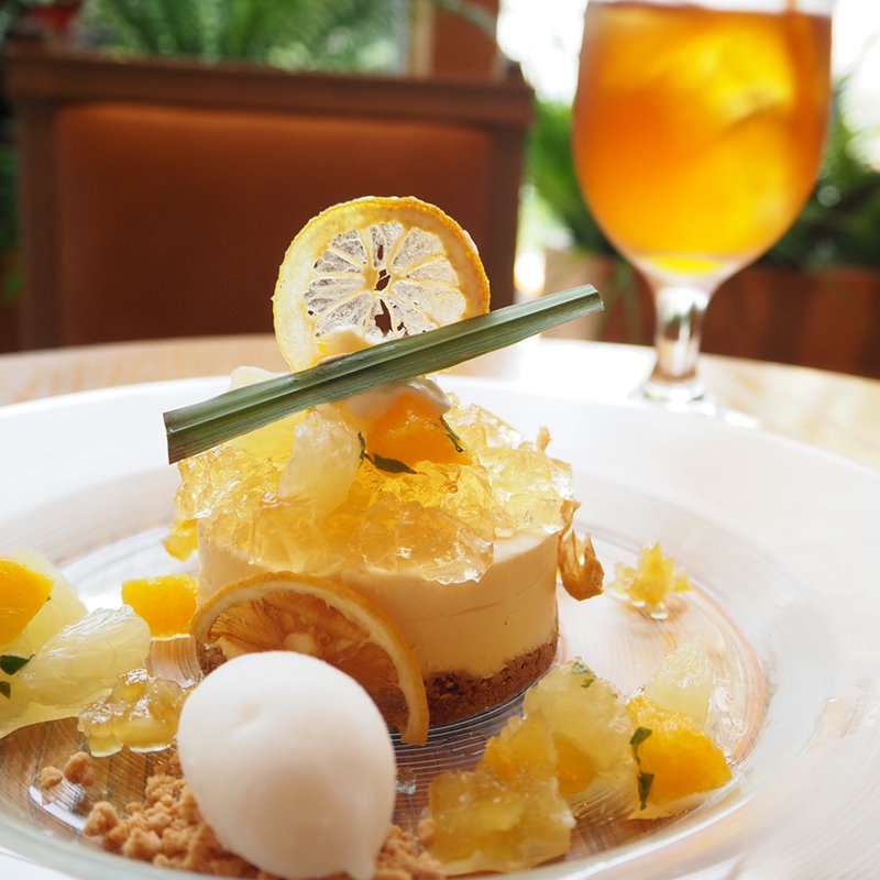 瀬戸内レモンのレアチーズケーキ(SANT ROPEZ（サントロペ）)