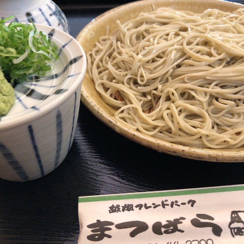 ざるそば(越畑フレンドパーク まつばら )