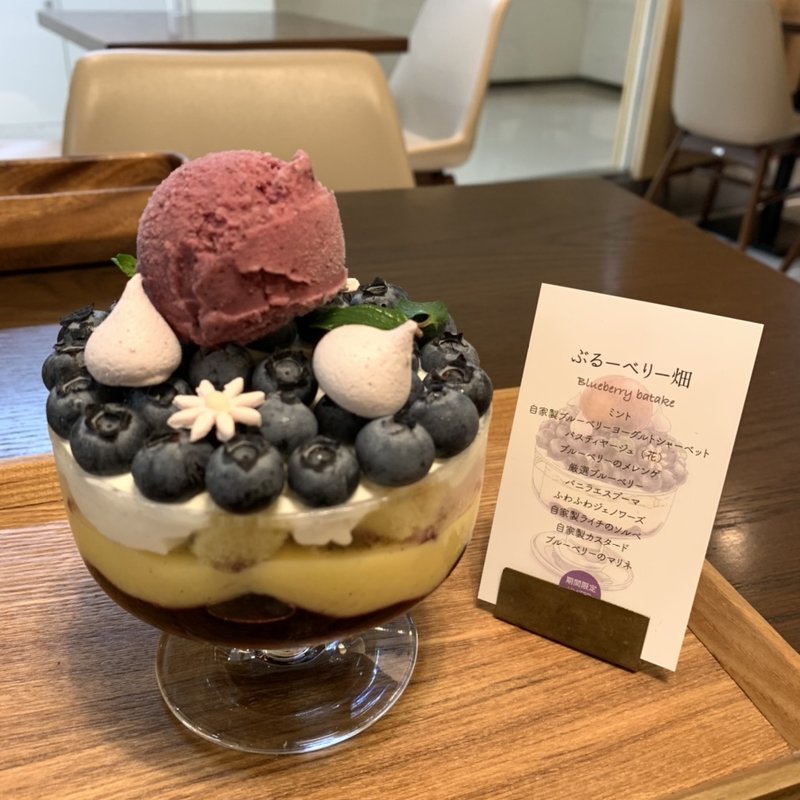 ブルーベリー畑(フクナガ901)