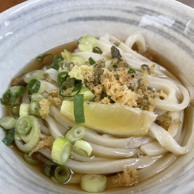 冷たいかけうどん　小(純手打うどん よしや )