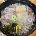 活イカ造り(一魚一会 )
