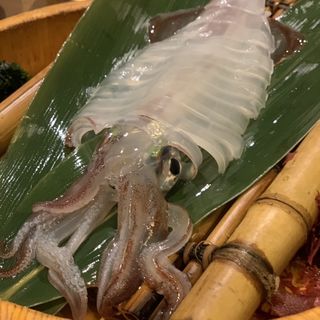 いかの姿造り(居酒屋 まる家 西中洲 （まるや）)