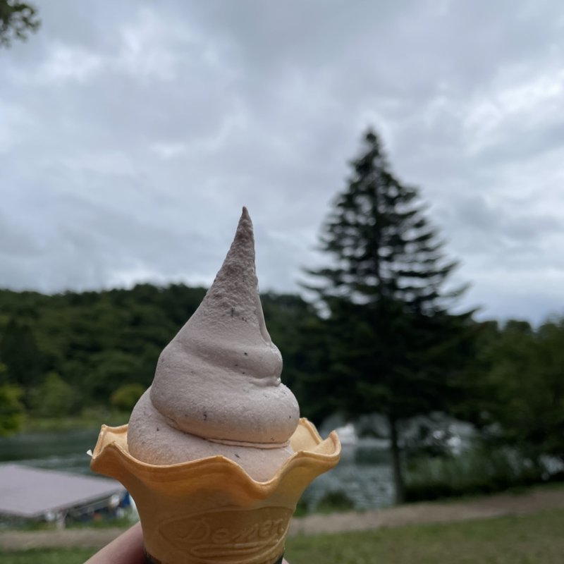 ブルーベリーソフト(蓼科アイス)