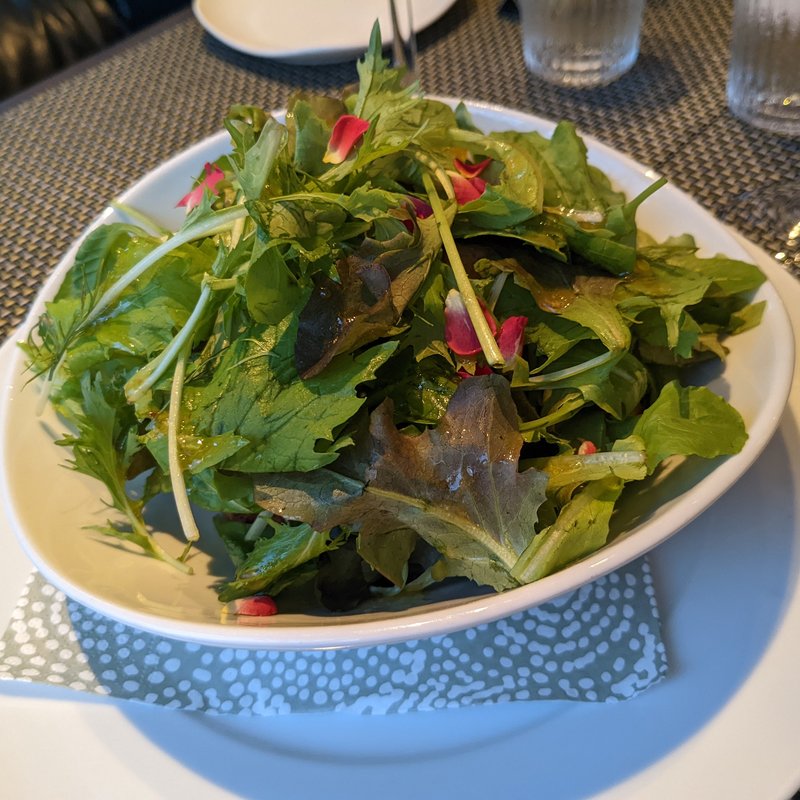 ニュースタイル鶏唐揚げ(THE LIVING)