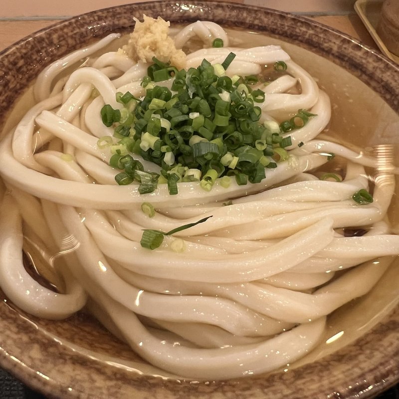 冷かけうどん(讃岐うどん 條辺)
