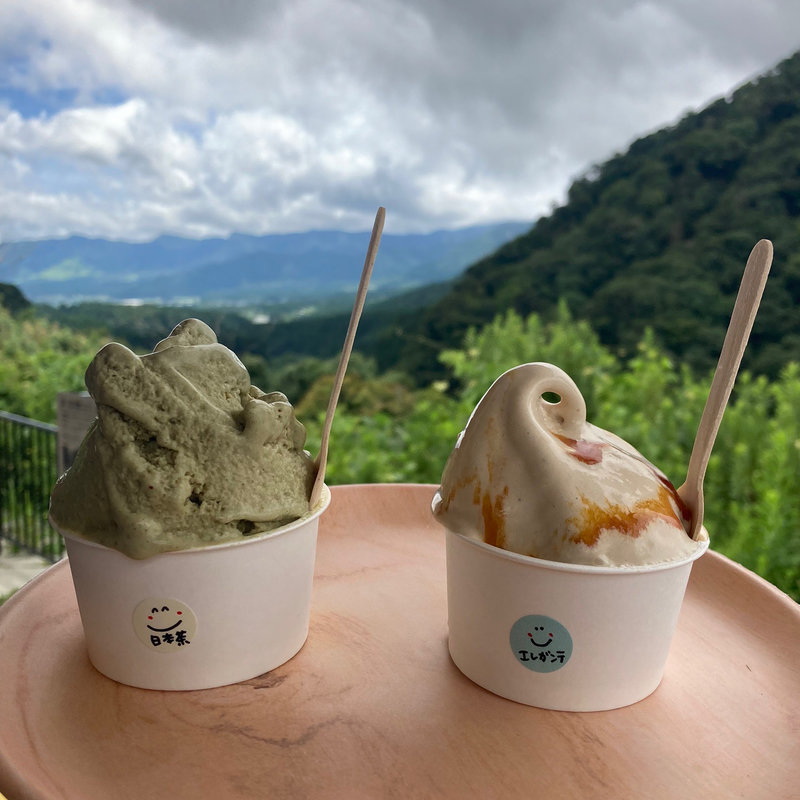 南阿蘇エレガンテ(展望所ヨ・ミュール)