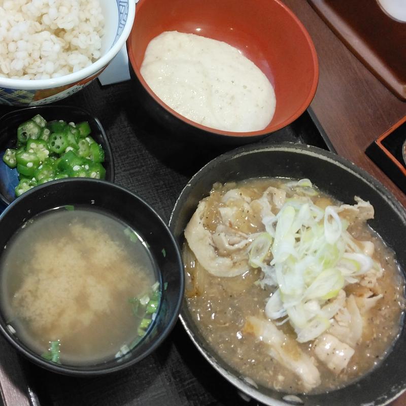 ねぎ塩豚皿麦とろ御膳(吉野家 仙台北目町通店 )