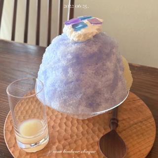 紫陽花のかき氷(Nova 珈琲と焼菓子)