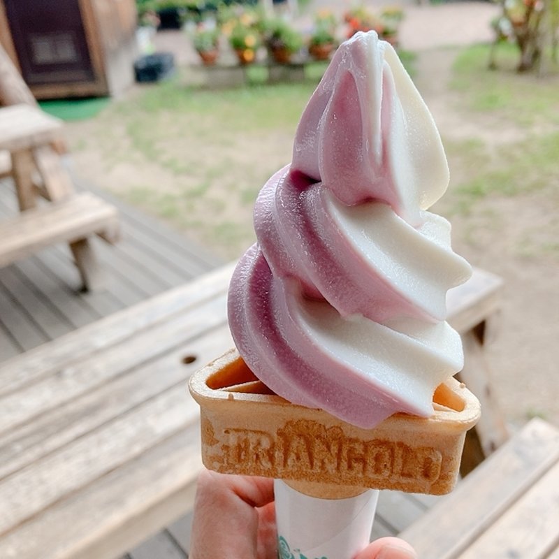 ピオーネとバニラのミックスソフト(トレッタみよしレストラン )