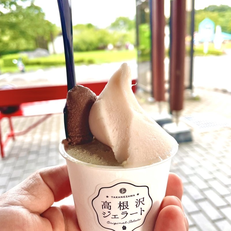 DUO(ピスタチオ+桃)(高根沢ジェラート)