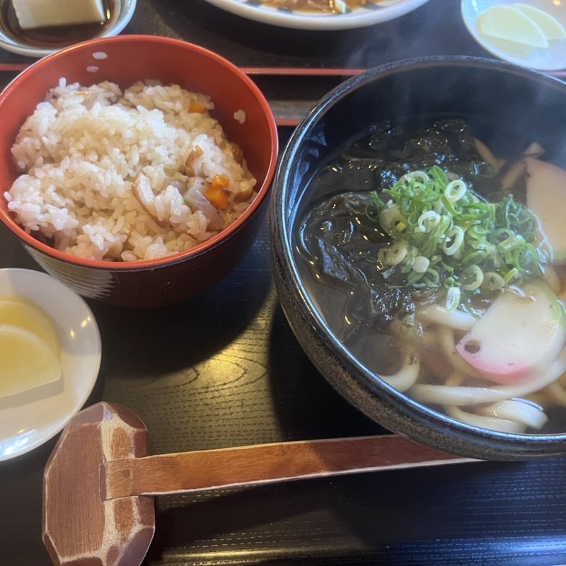 (土佐うどん)