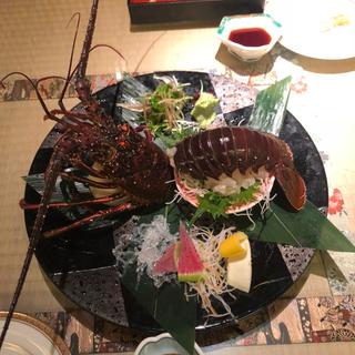 (無法松 )