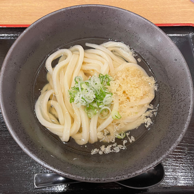 冷かけうどん（大盛）(讃岐うどん寿)
