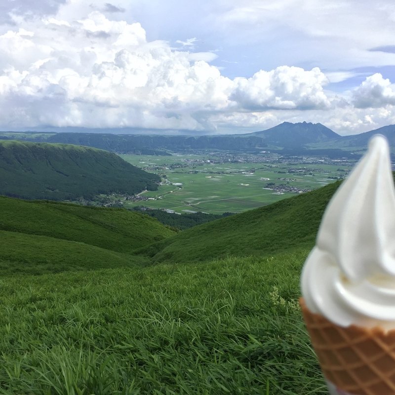 阿蘇小国ジャージー牛乳　手造りソフト(大観峰茶店 （ダイカンボウチャテン）)