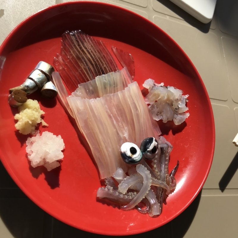 新鮮活イカ(新鮮喰味 （シンセングミ）)