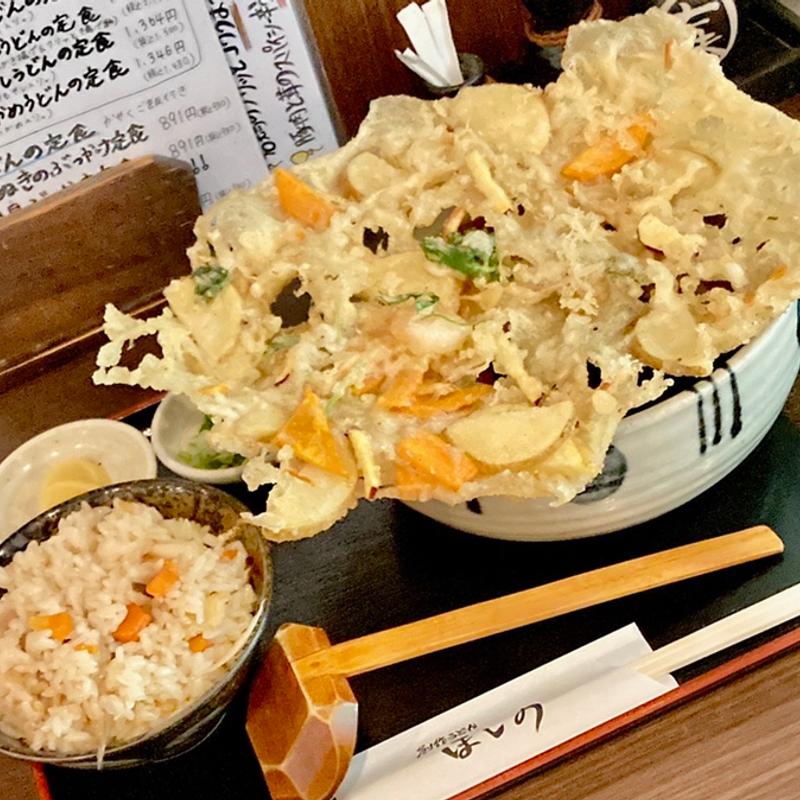 かきあげうどんの定食(ほしの )