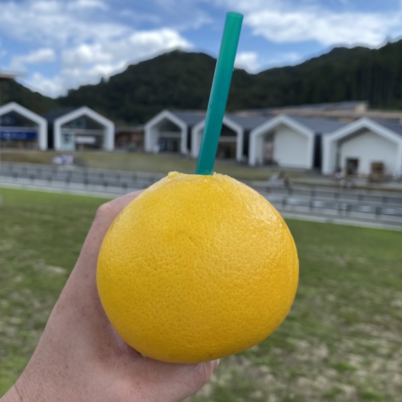 グレープフルーツ(Orange Paradise)