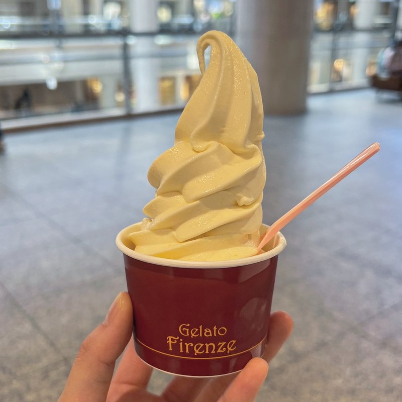 杏クリームチーズ(gelatofirenze)