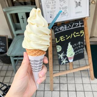 レモンバニラジェラートソフト(ジェラテリアアクオリーナ （GELATERIA ACQUOLINA）)