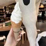 グラスフェッドミルクソフトクリーム(MILKLAND HOKKAIDO→TOKYO　ミルクランド北海道)